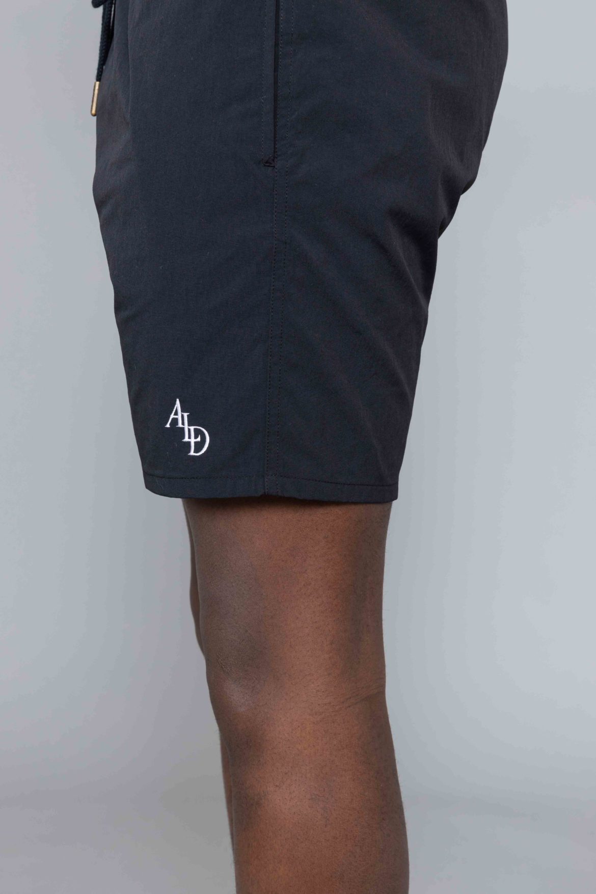 aime leon dore nylon shorts