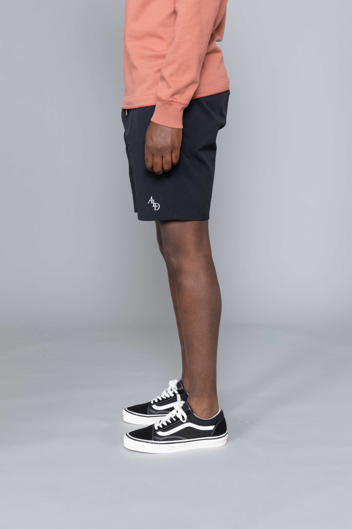 aime leon dore nylon shorts