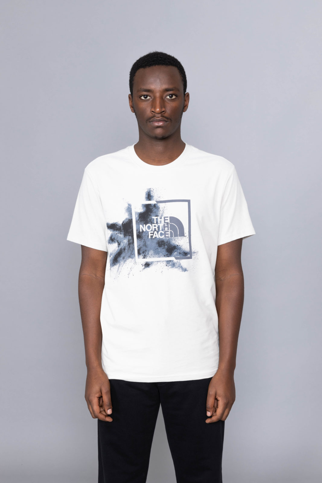 the north face simple dome tee