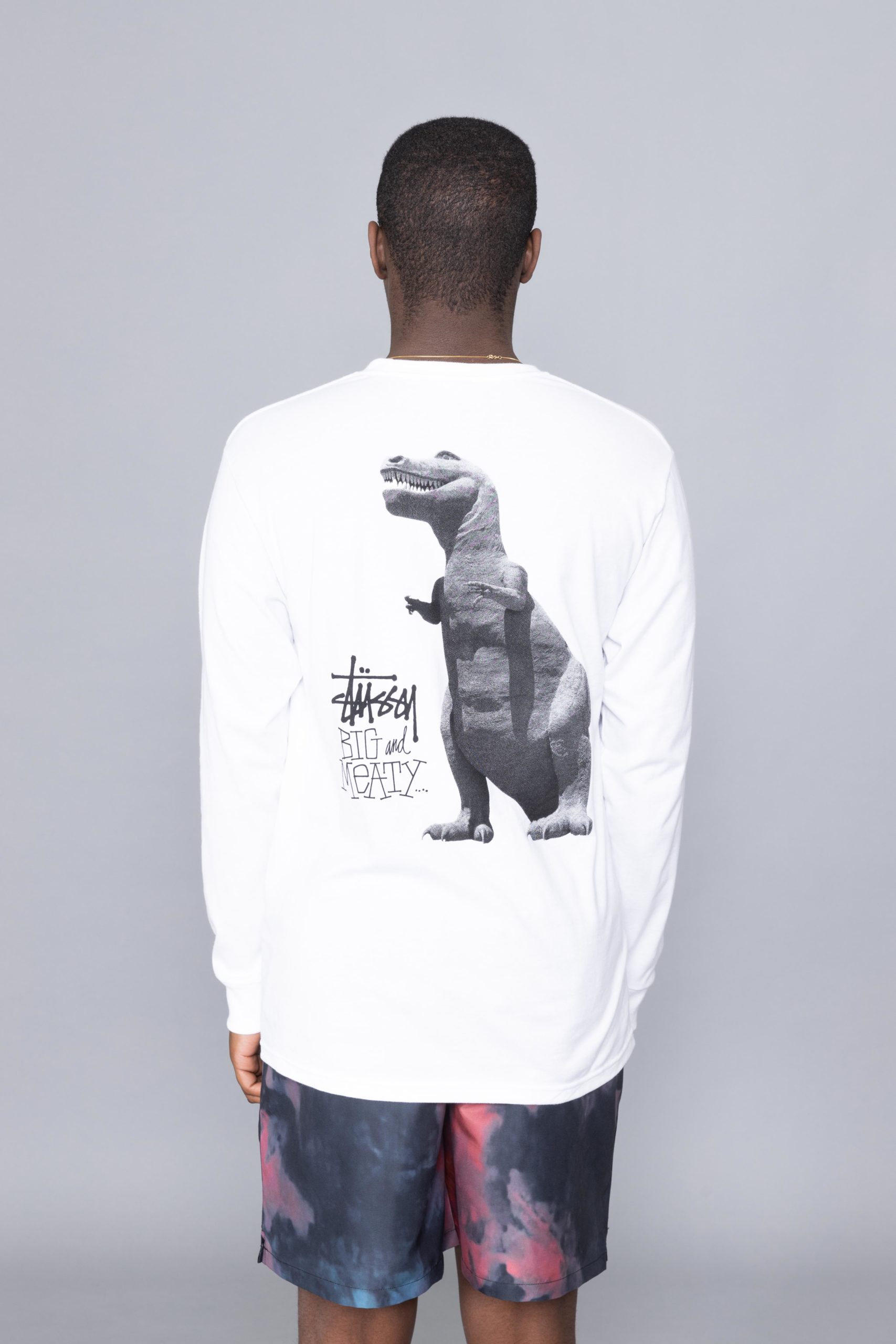 Stussy big discount meaty