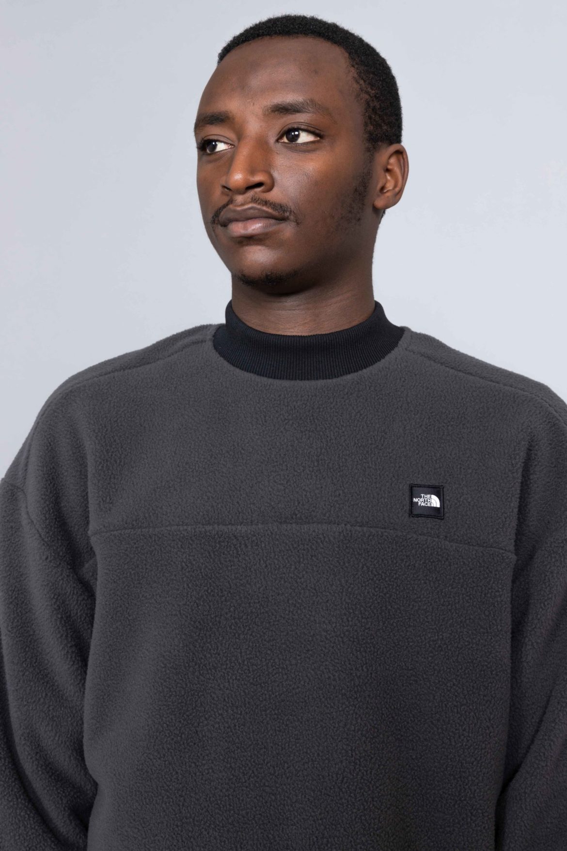 The north face online polar sweatshirt