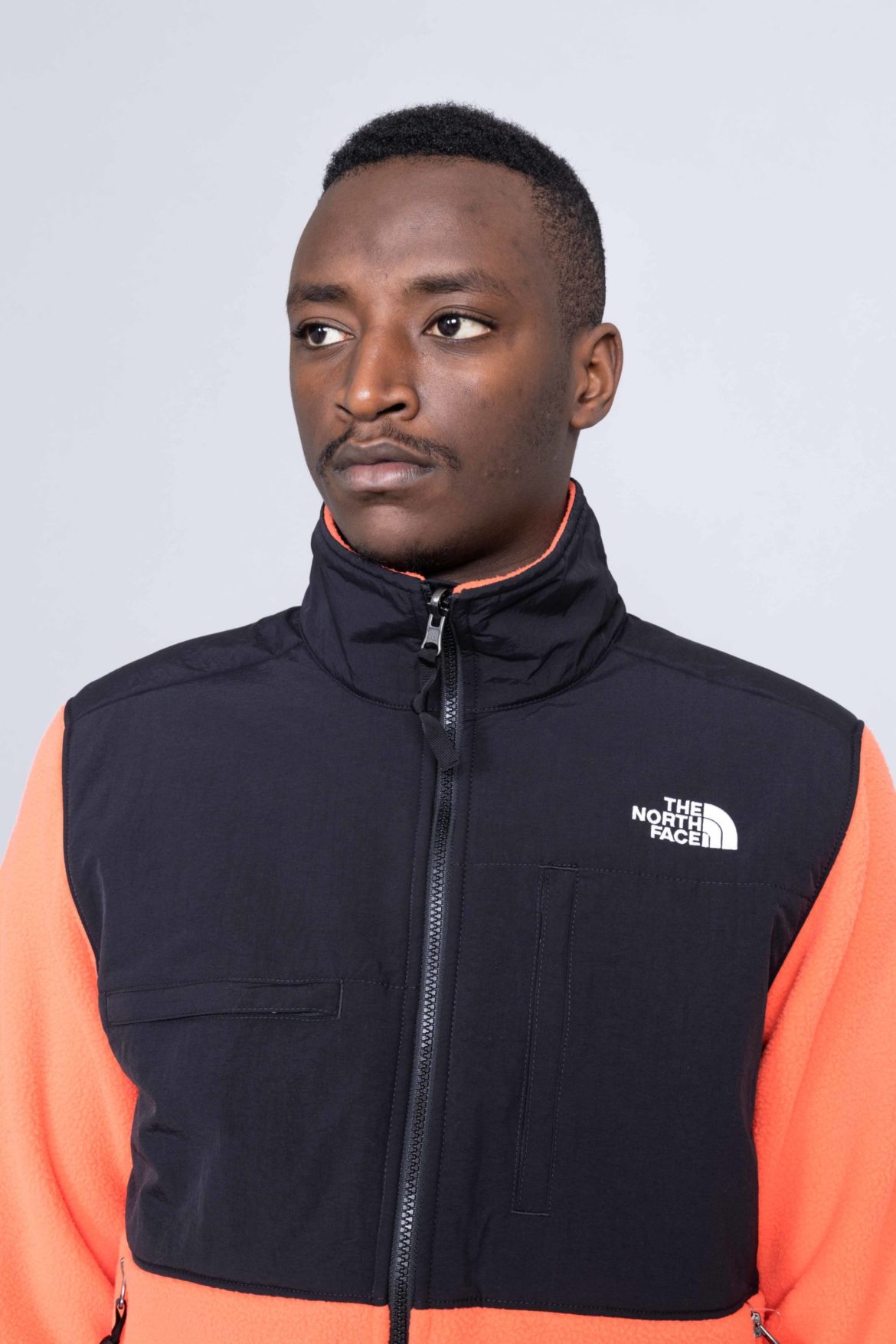 the north face denali full zip fleece jacket