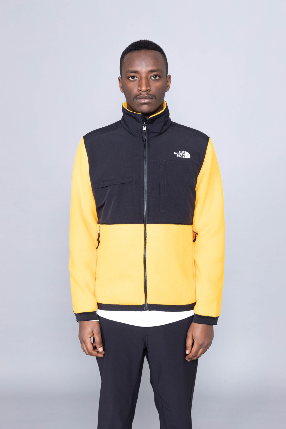 North face denali 2 jacket online