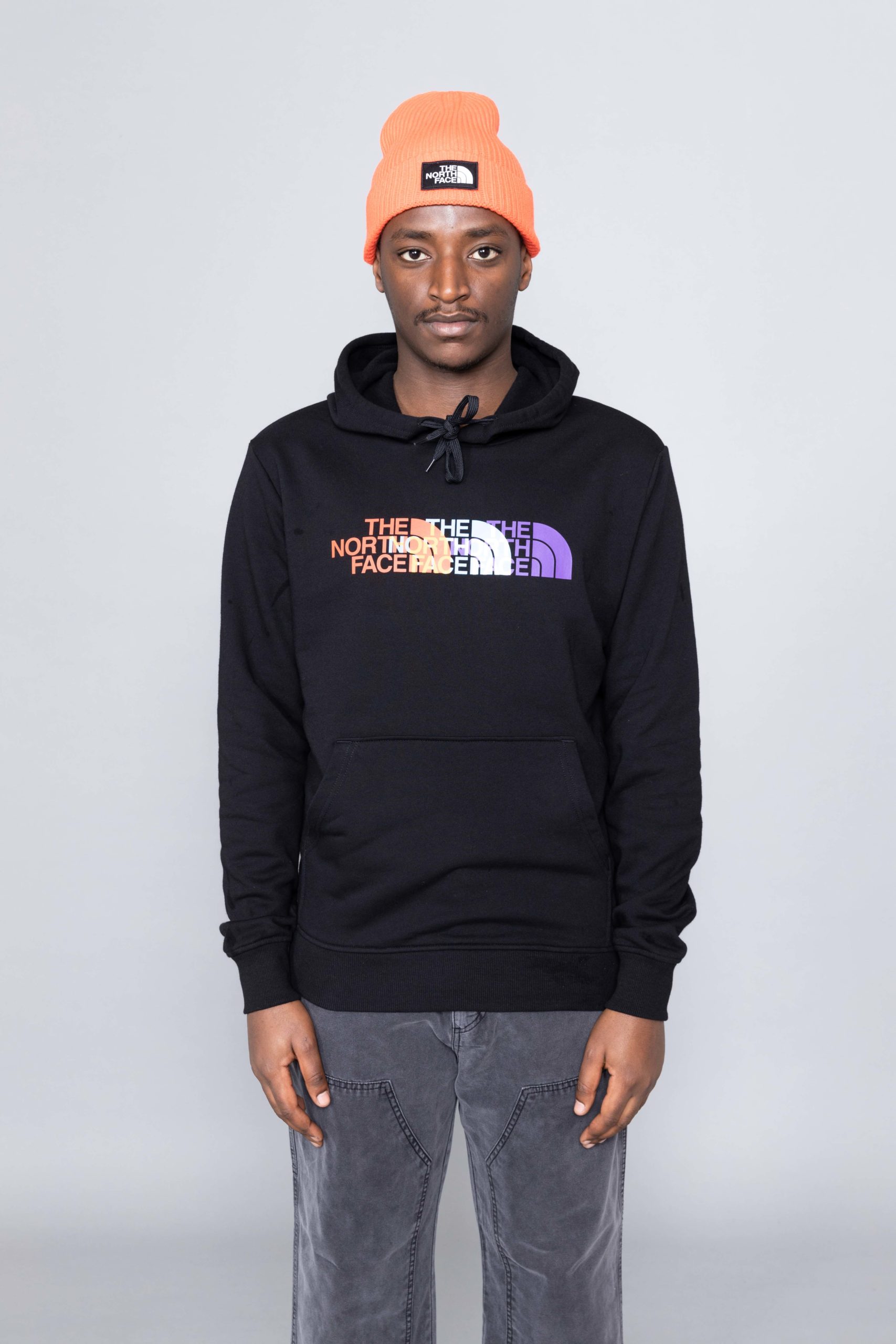 the north face rgb prism hoodie