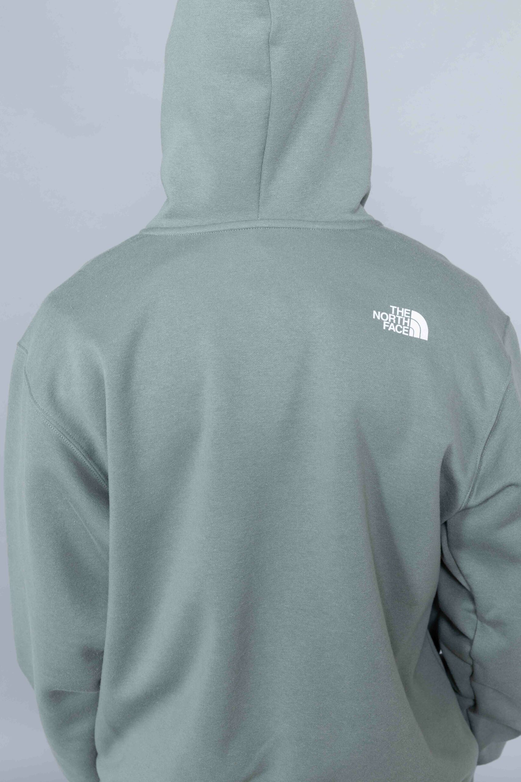 North face agave on sale hoodie